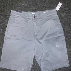 Grey Shorts (Waste 32)